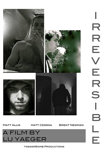 Poster of Irreversible