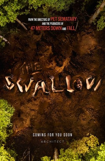 Poster of The Swallow