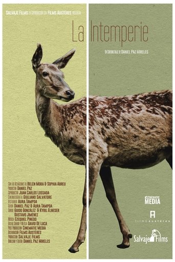 Out in the Open Poster of Out in the Open