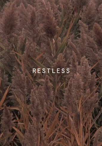 Restless Poster of Restless