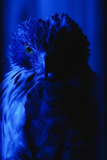 Poster of The Falconer's Legacy