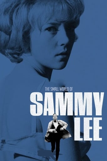 Poster of The Small World of Sammy Lee