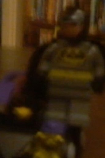 Lego batman saves the day Poster of Lego batman saves the day