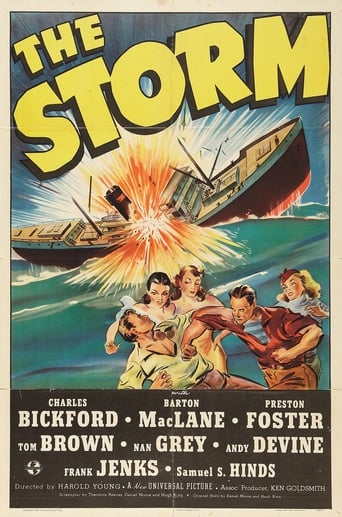 Poster of The Storm