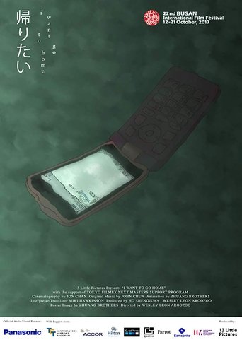 Poster of I Want to Go Home