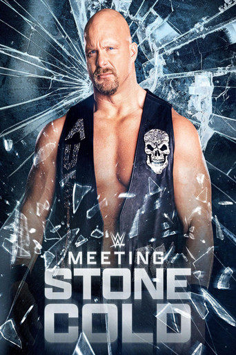 Poster of Meeting Stone Cold