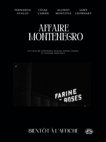 Poster of The Montenegro Affair