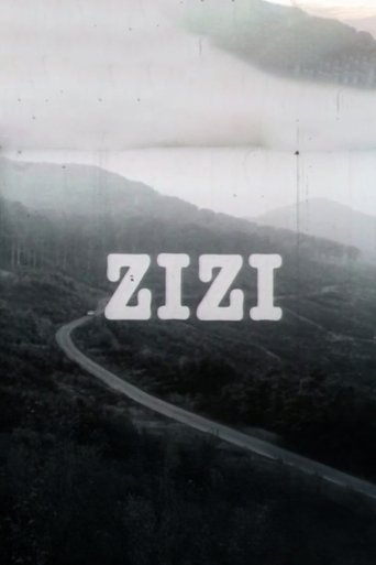Poster of Zizi