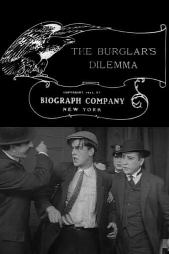 Poster of The Burglar’s Dilemma