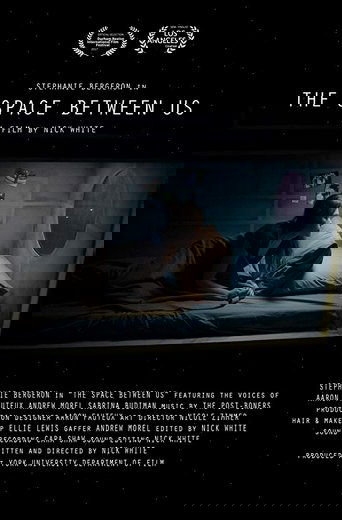 Poster of The Space Between Us