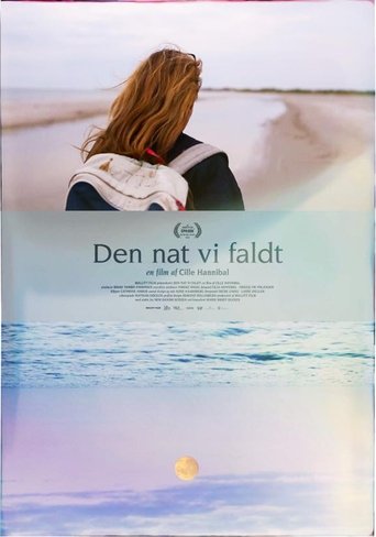 Poster of The Night We Fell