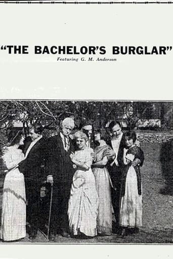 Poster of The Bachelor's Burglar