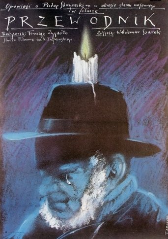 Poster of Przewodnik