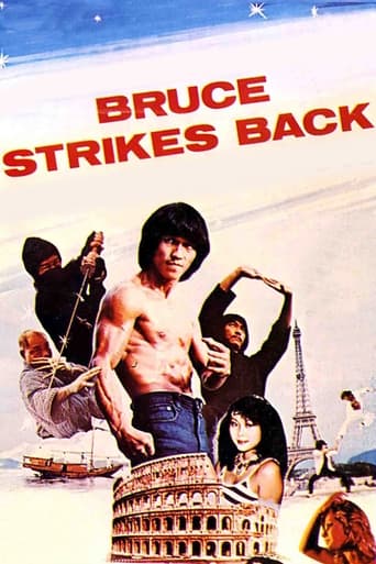 Poster of Bruce Strikes Back