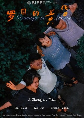 Poster of Gloaming in Luomu
