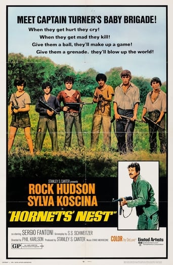 Poster of Hornets' Nest