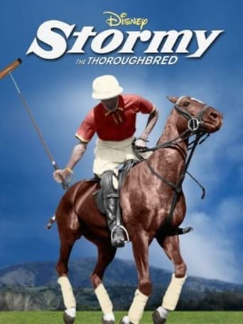 Poster of Stormy, the Thoroughbred
