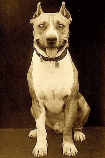 Portrait of Luke the Dog