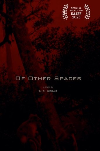 Poster of Of Other Spaces