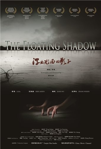 Poster of The Floating Shadow