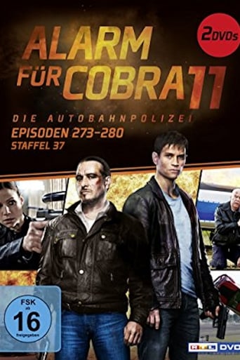 Portrait for Alarm for Cobra 11: The Motorway Police - Season 37