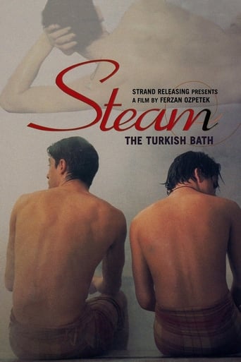 Poster of Steam: The Turkish Bath