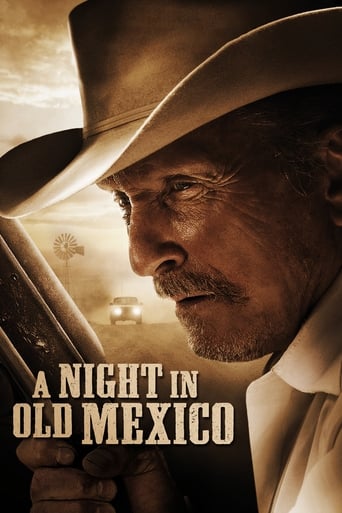 Poster of A Night in Old Mexico