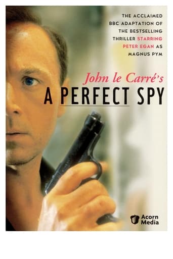 Poster of A Perfect Spy