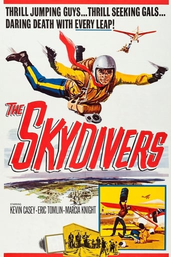 Poster of The Skydivers