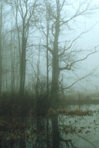 Early Spring Wetlands Poster of Early Spring Wetlands