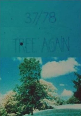 37/78: Tree Again Poster of 37/78: Tree Again