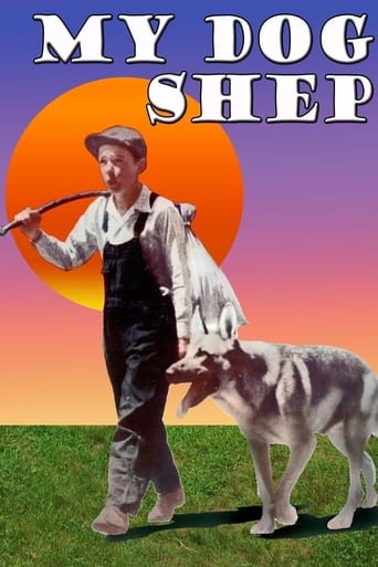 Poster of My Dog Shep