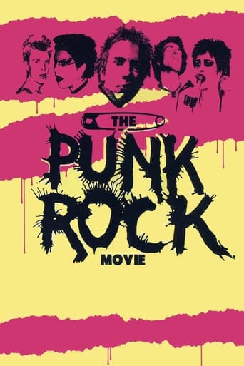 Poster of The Punk Rock Movie