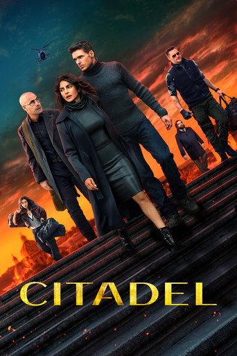 Poster of Citadel