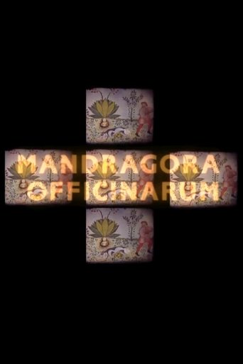 Mandragora officinarum Poster of Mandragora officinarum