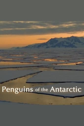 Poster of Penguins of the Antarctic