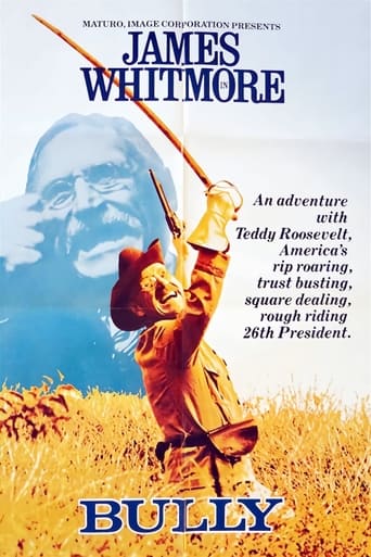 Poster of Bully: An Adventure with Teddy Roosevelt