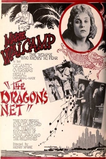 Poster of The Dragon's Net
