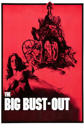 Poster of The Big Bust Out