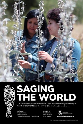 Poster of Saging the World