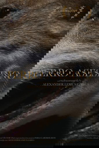 Poster of Perro Asesino