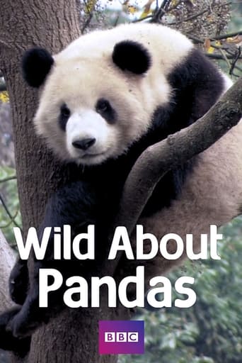 Poster of Wild About Pandas
