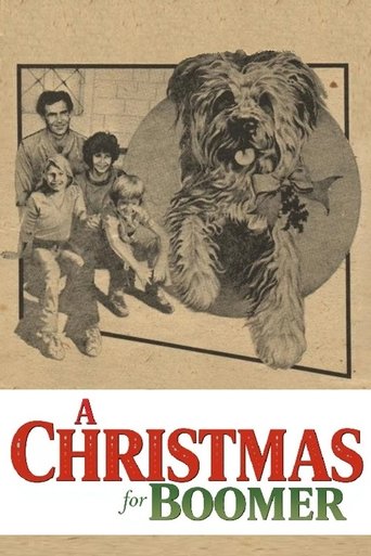 Poster of A Christmas for Boomer