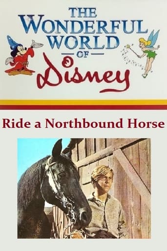 Poster of Ride a Northbound Horse