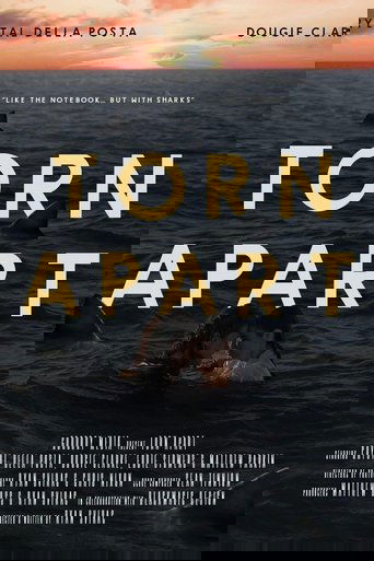 Poster of Torn Apart