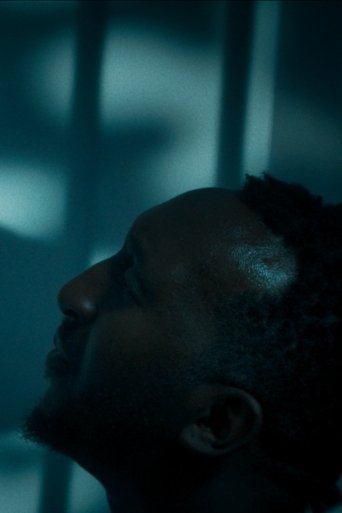 Poster of Flush