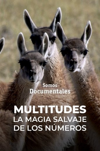 Poster of Multitudes: The Power of Numbers