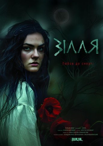 Poster of The Potion
