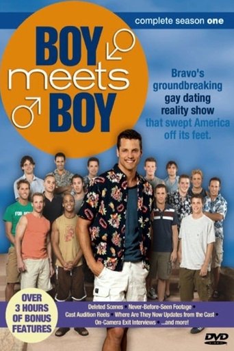 Poster of Boy Meets Boy