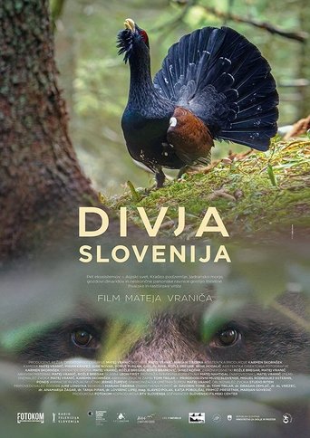Wild Slovenia Poster of Wild Slovenia